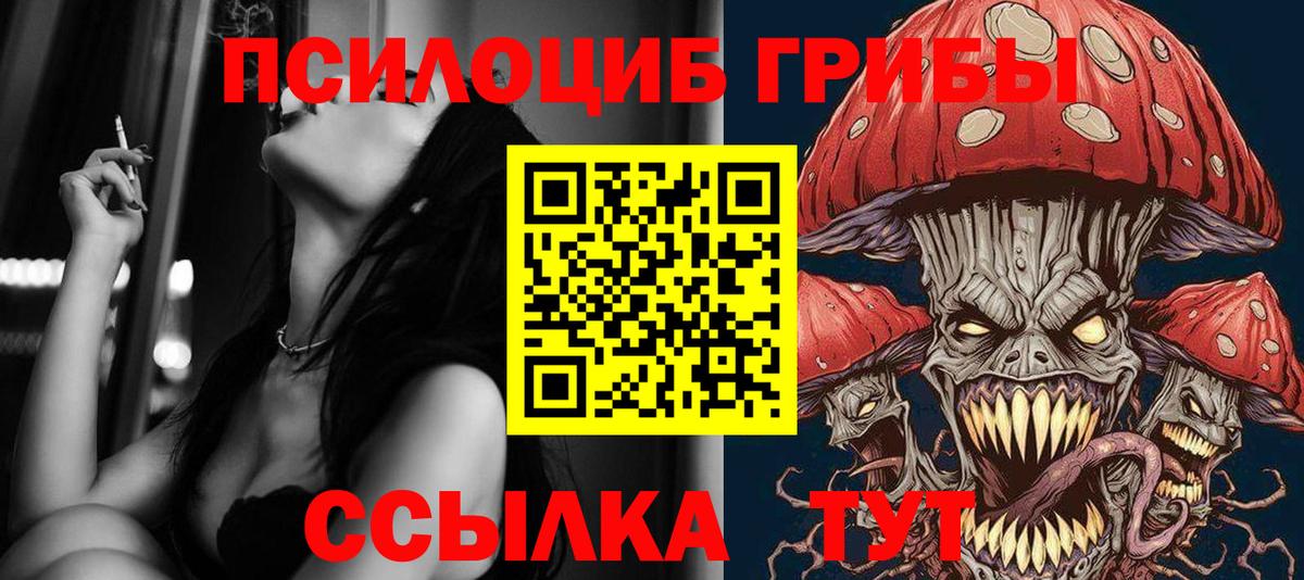 Рассказово  Псилоцибиновые грибы Psilocybe  Вход с VPN 